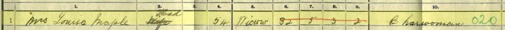 1911 census